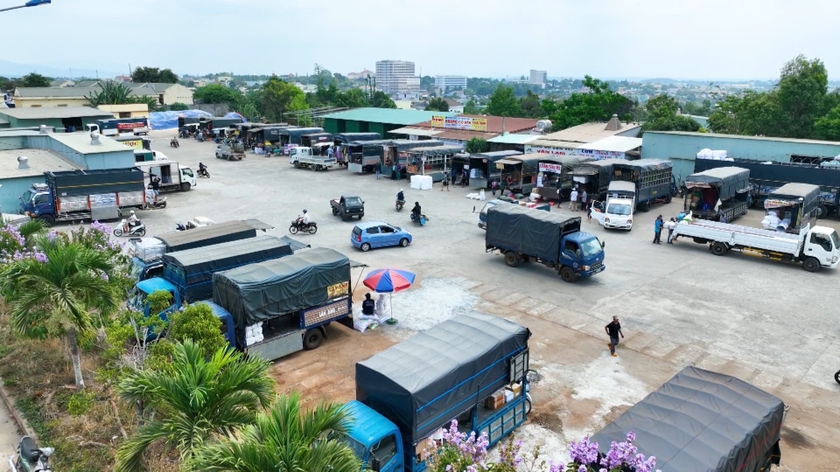 Chành nhà xe Đông Hà Quảng Trị gửi hàng vận chuyển đi Cà Mau giao phát ship (1)