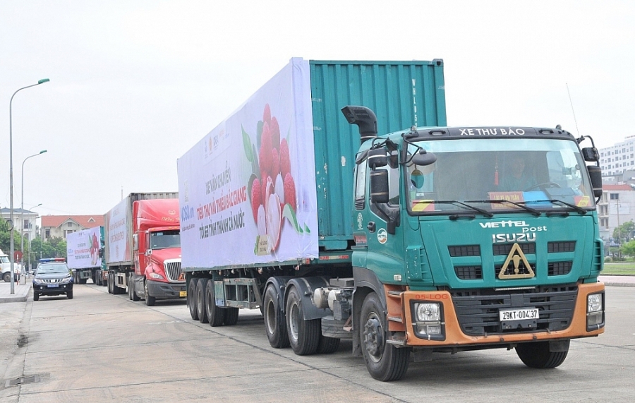 Gửi hàng vận chuyển Hải Phòng giao phát ship Tây Ninh Chành nhà xe